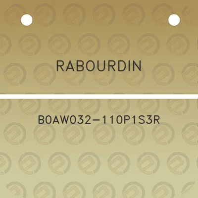 rabourdin-b0aw032-110p1s3r