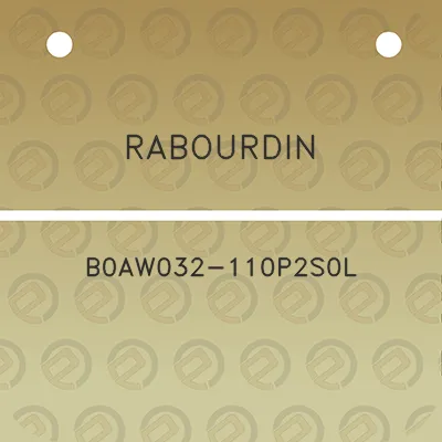 rabourdin-b0aw032-110p2s0l