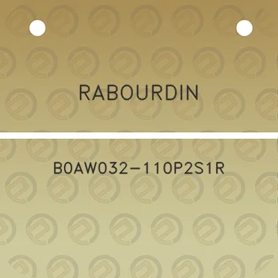 rabourdin-b0aw032-110p2s1r