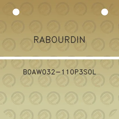 rabourdin-b0aw032-110p3s0l