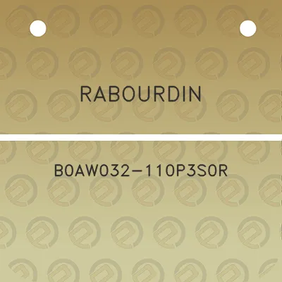 rabourdin-b0aw032-110p3s0r