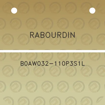 rabourdin-b0aw032-110p3s1l