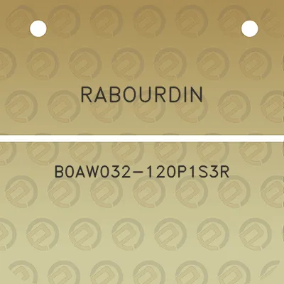 rabourdin-b0aw032-120p1s3r