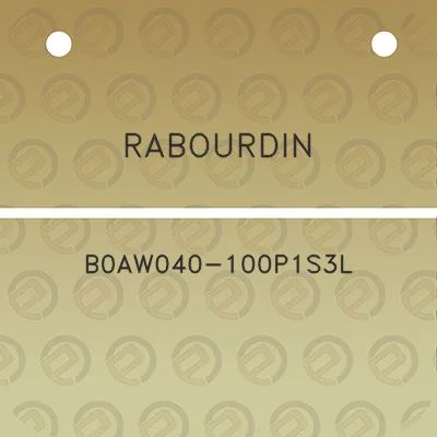 rabourdin-b0aw040-100p1s3l