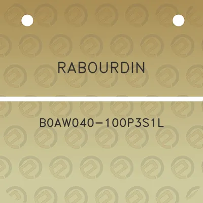 rabourdin-b0aw040-100p3s1l