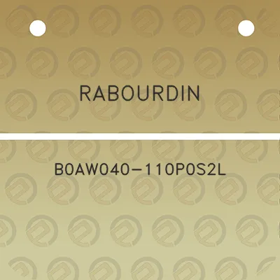 rabourdin-b0aw040-110p0s2l