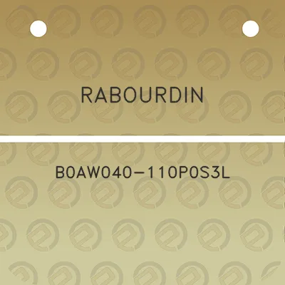 rabourdin-b0aw040-110p0s3l