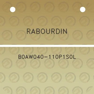 rabourdin-b0aw040-110p1s0l