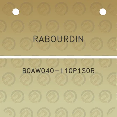 rabourdin-b0aw040-110p1s0r