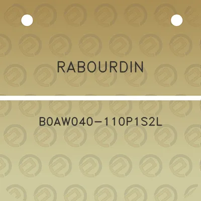 rabourdin-b0aw040-110p1s2l