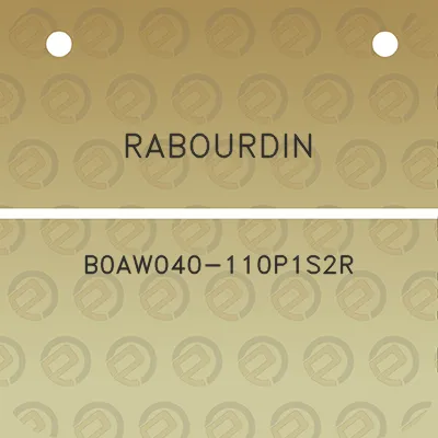 rabourdin-b0aw040-110p1s2r