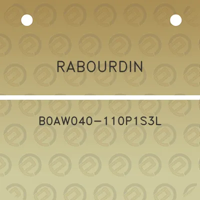 rabourdin-b0aw040-110p1s3l