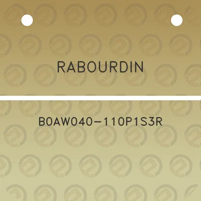 rabourdin-b0aw040-110p1s3r