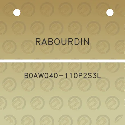 rabourdin-b0aw040-110p2s3l