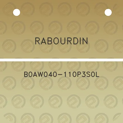 rabourdin-b0aw040-110p3s0l