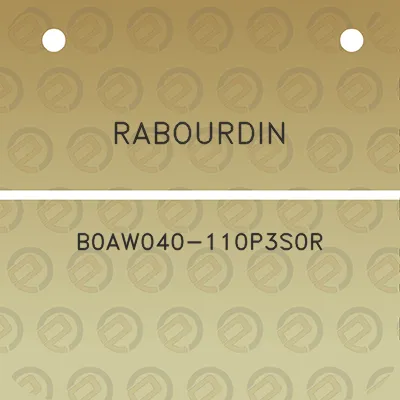 rabourdin-b0aw040-110p3s0r