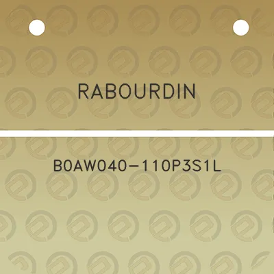 rabourdin-b0aw040-110p3s1l