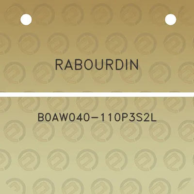 rabourdin-b0aw040-110p3s2l