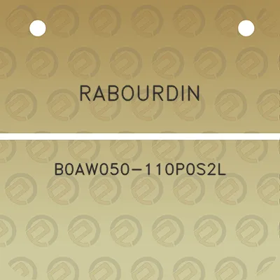 rabourdin-b0aw050-110p0s2l