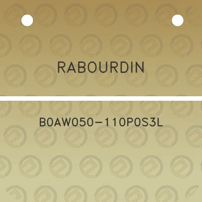 rabourdin-b0aw050-110p0s3l