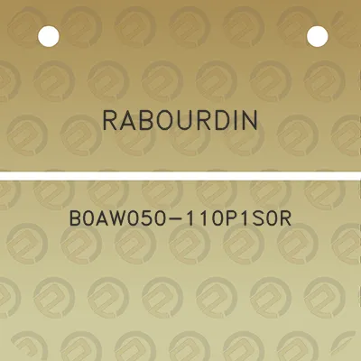 rabourdin-b0aw050-110p1s0r