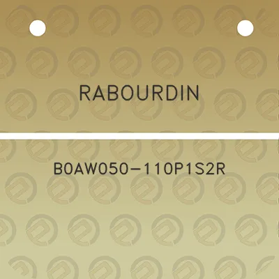 rabourdin-b0aw050-110p1s2r