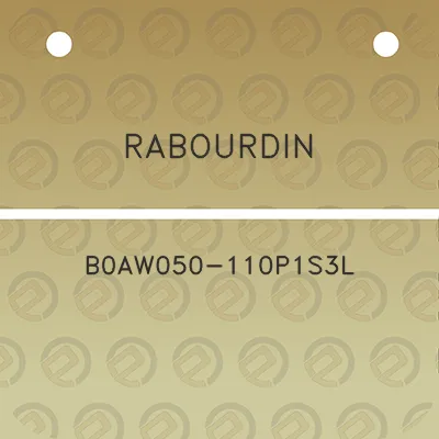 rabourdin-b0aw050-110p1s3l