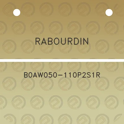 rabourdin-b0aw050-110p2s1r