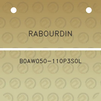 rabourdin-b0aw050-110p3s0l