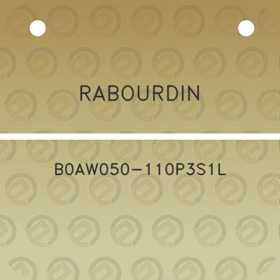 rabourdin-b0aw050-110p3s1l