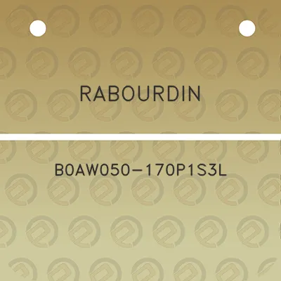 rabourdin-b0aw050-170p1s3l