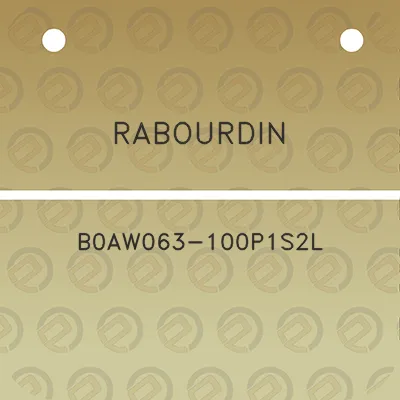 rabourdin-b0aw063-100p1s2l