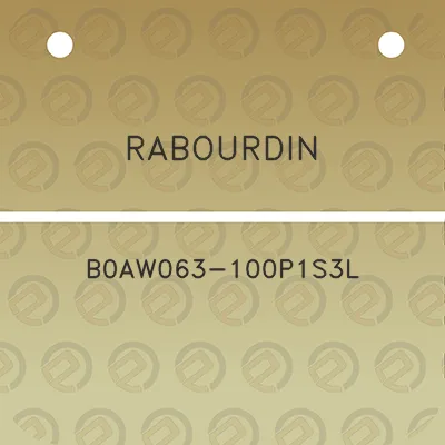 rabourdin-b0aw063-100p1s3l