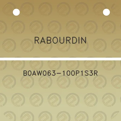 rabourdin-b0aw063-100p1s3r