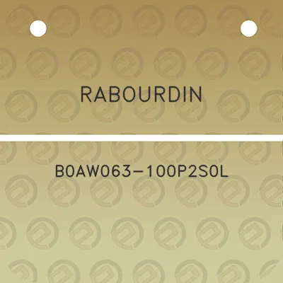 rabourdin-b0aw063-100p2s0l