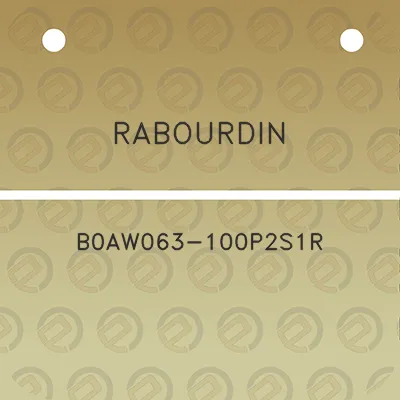 rabourdin-b0aw063-100p2s1r