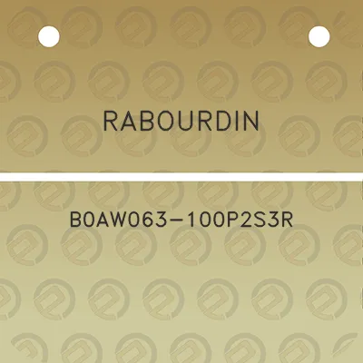 rabourdin-b0aw063-100p2s3r