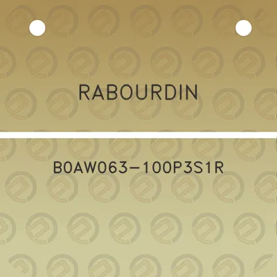 rabourdin-b0aw063-100p3s1r