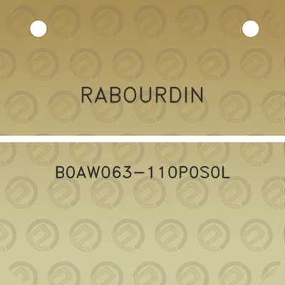 rabourdin-b0aw063-110p0s0l