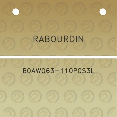 rabourdin-b0aw063-110p0s3l