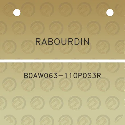 rabourdin-b0aw063-110p0s3r