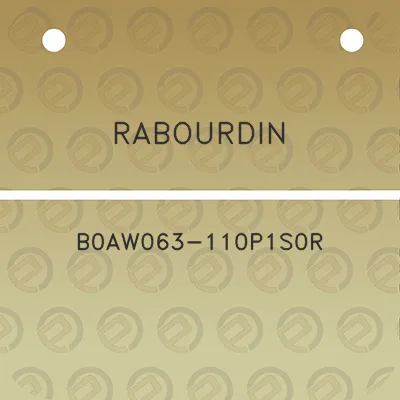 rabourdin-b0aw063-110p1s0r