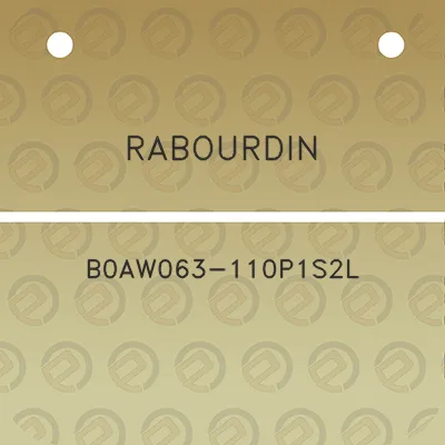 rabourdin-b0aw063-110p1s2l