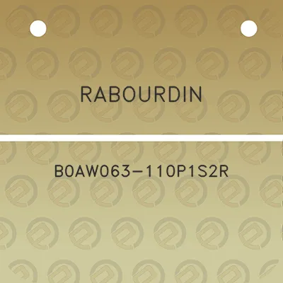 rabourdin-b0aw063-110p1s2r