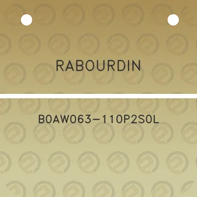 rabourdin-b0aw063-110p2s0l