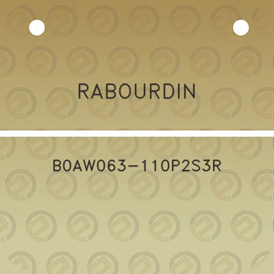 rabourdin-b0aw063-110p2s3r