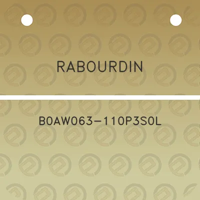 rabourdin-b0aw063-110p3s0l