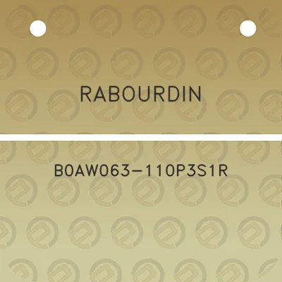 rabourdin-b0aw063-110p3s1r