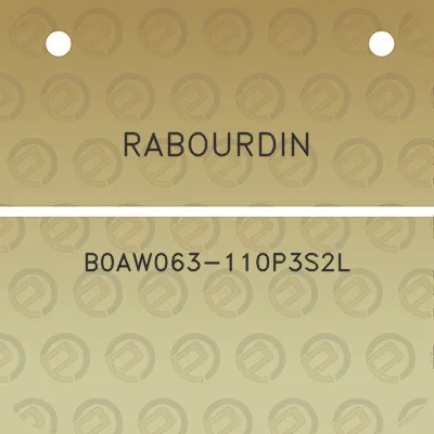 rabourdin-b0aw063-110p3s2l