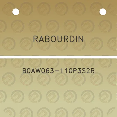 rabourdin-b0aw063-110p3s2r